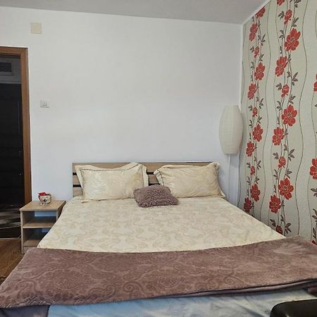 Casa Suzana Lejlighed Piatra Neamţ Eksteriør billede