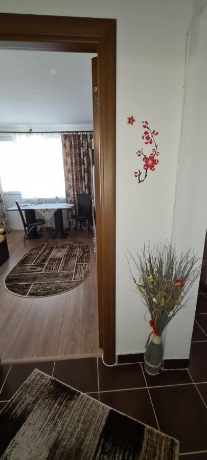 Casa Suzana Lejlighed Piatra Neamţ Eksteriør billede